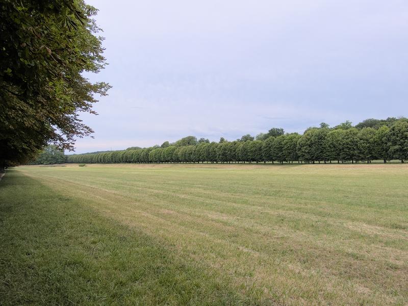 Juin, grand canal de Fontainebleau
