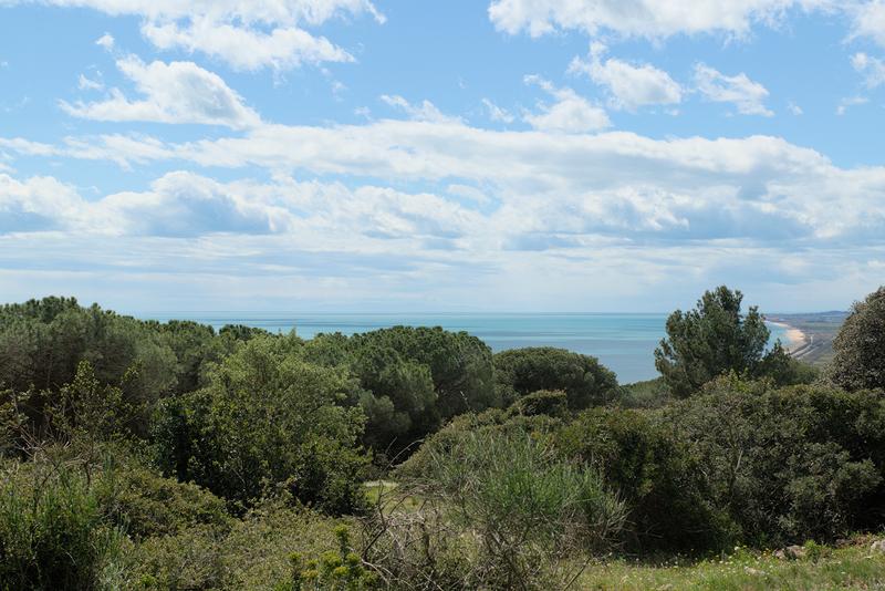 Sète, Hérault, Occitanie